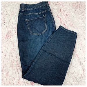 Lane Bryant T3 Skinny Jeans